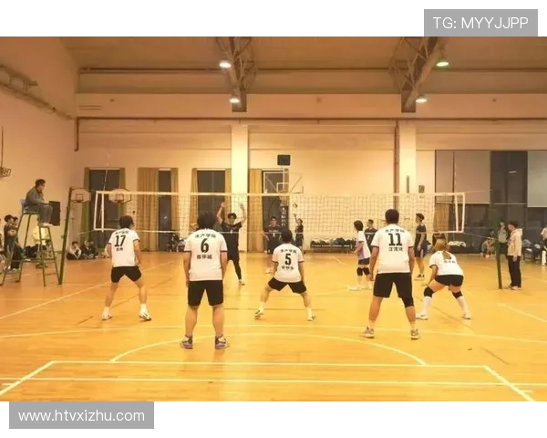 排球盛宴：深入解析北京排球队的默契配合与战术布局